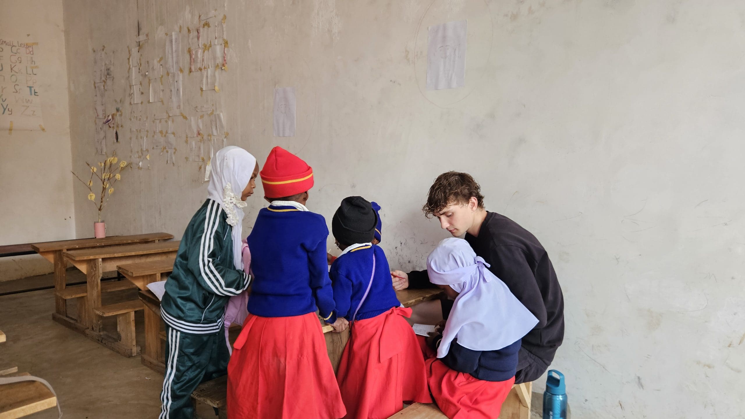 Mentoring and Teaching